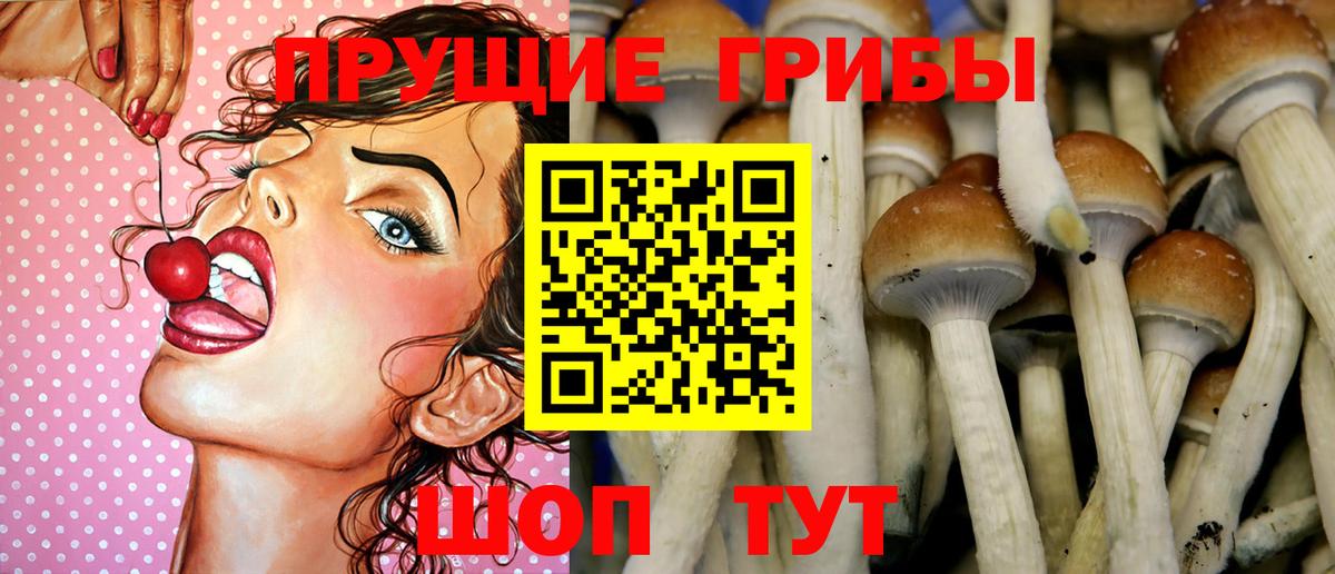 Псилоцибиновые грибы MAGIC MUSHROOMS Апатиты